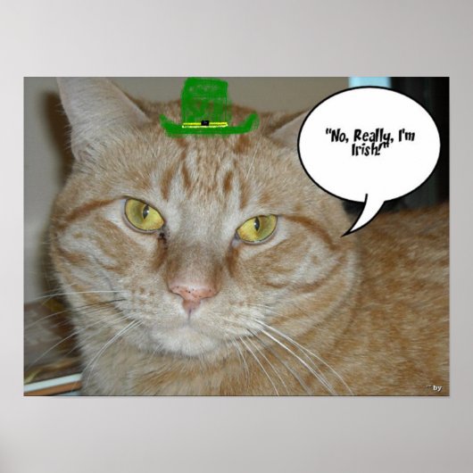 Poster Saint Patrick's Day Orange Tabby Cat (Devant)