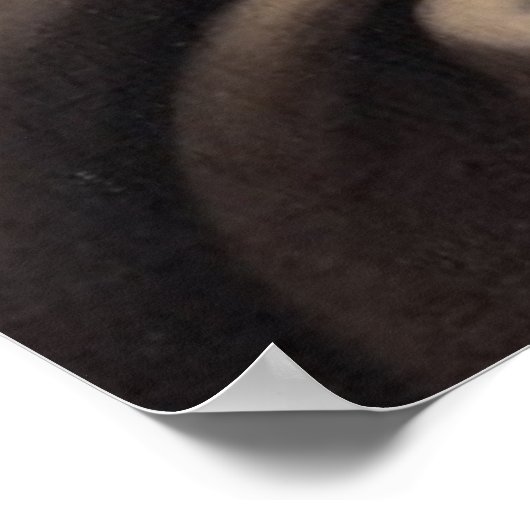 POSTER SAINT ROSE DE LIMA (Coin)