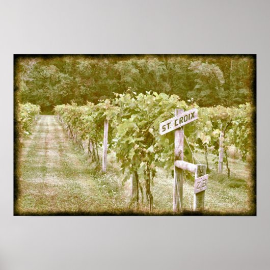 Poster Sainte-Croix (Devant)