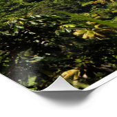 Poster Sainte-Lucie Pitons (Coin)