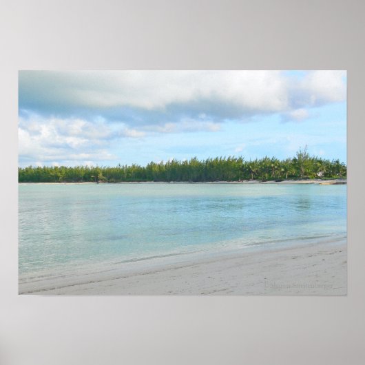 POSTER "SAISCAPE / CAY À TORTLE VERT /ÎLES ABACO" (Devant)
