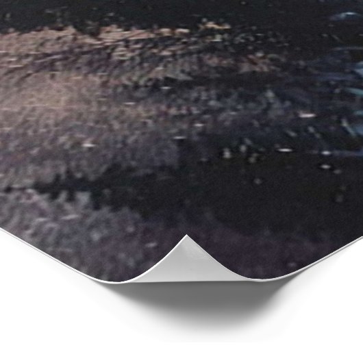 Poster Saison 5 de VIKINGS Lagertha (Coin)