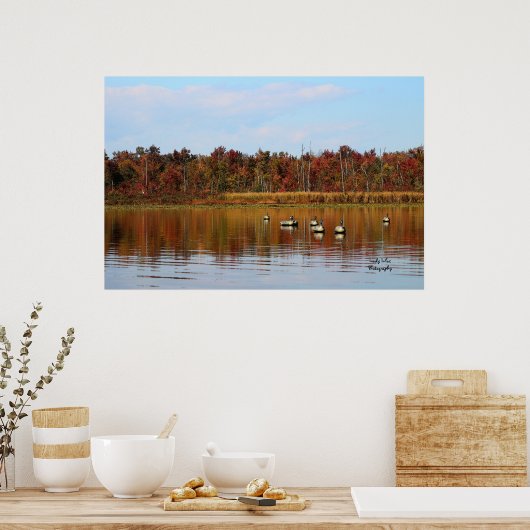 Poster Saison Canard (Cuisine)