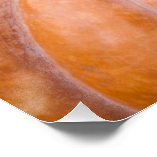 Poster Saison citrouille (Coin)