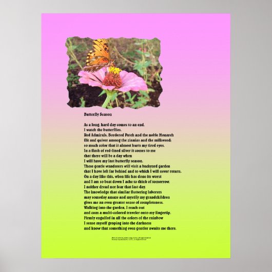 Poster Saison des papillons (Devant)