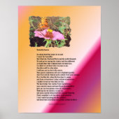 Poster Saison des papillons - Désert (Devant)