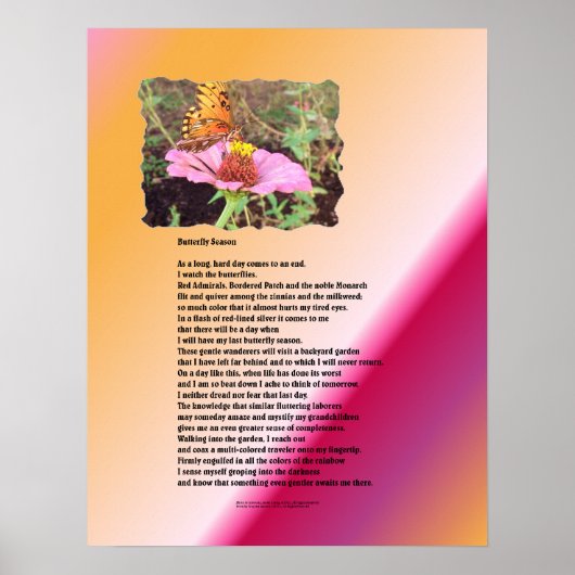 Poster Saison des papillons - Désert (Devant)