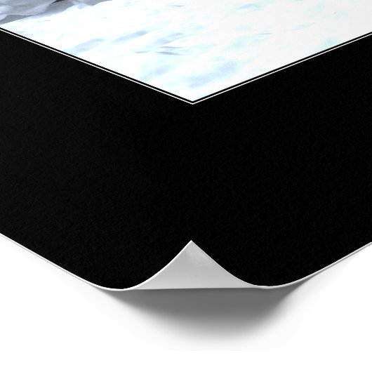 Poster Saison des pingouins ludiques (Coin)