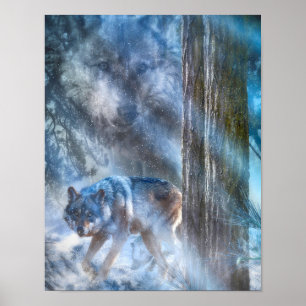 POSTER SAISON DU LOUP