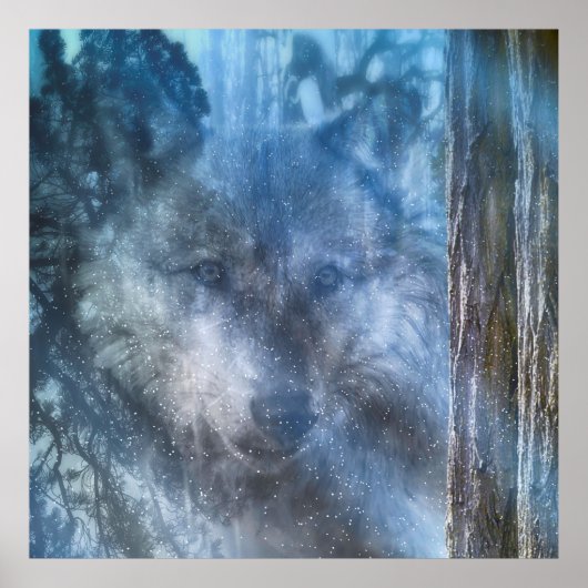 Poster SAISON DU Loup gris DU LOUP (Devant)