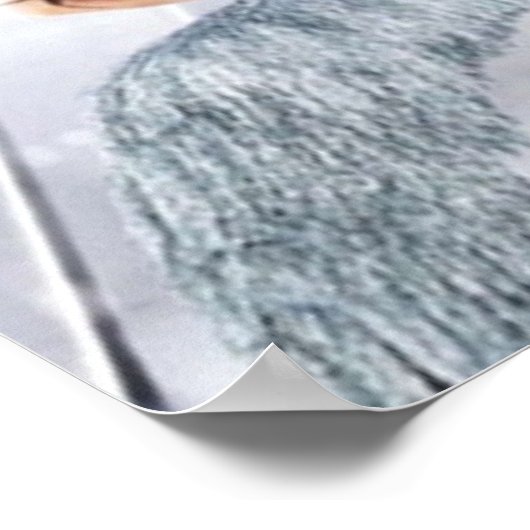 Poster Saison Pose 3 (Coin)