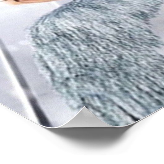 Poster Saison Pose 3 (Coin)