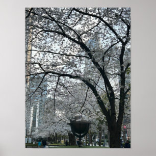 Poster Saison Shinjuku de Sakura