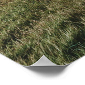 POSTER SAKSUN, ÎLES FAROE (Coin)