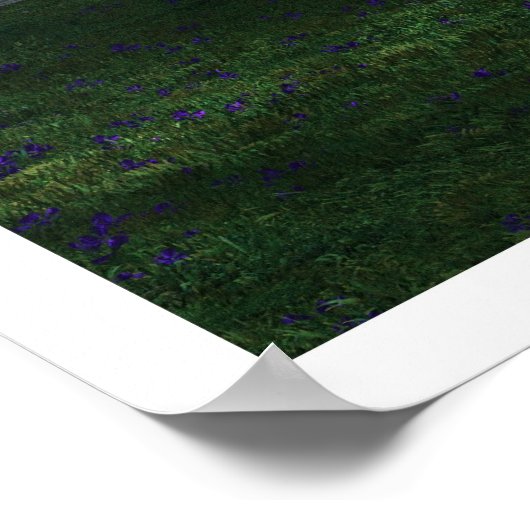 Poster Sakura (Coin)