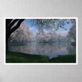 Poster Sakura (Devant)