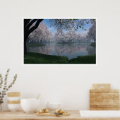 Poster Sakura (Cuisine)