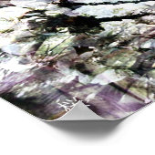 Poster Sakura (Coin)