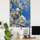 Poster Sakura Blanche H.G. (Bureau à domicile)