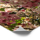 Poster Sakura Cherry Blossom #3 (Coin)