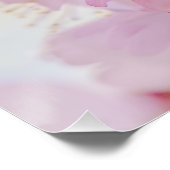 Poster Sakura - Fleur de cerisier japonaise (Coin)