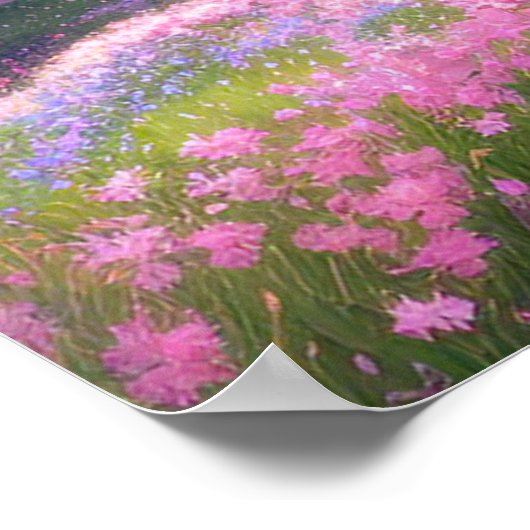 Poster Sakura Meadows en fleur (Coin)