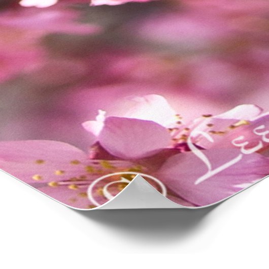 Poster Sakura Pink Cherry Blossom Sky (Coin)