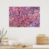 Poster Sakura Pink Cherry Blossom Sky (Cuisine)