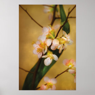 Poster Sakura - Une touche de printemps