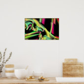 Poster Salade Céleri. (Cuisine)