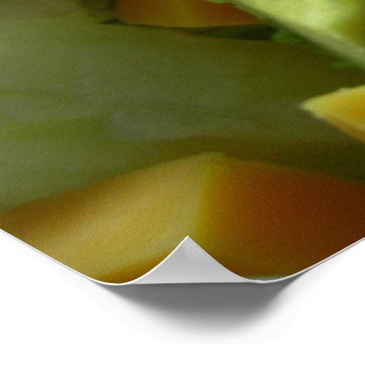 Poster Salade grave (Coin)