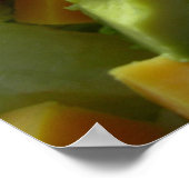 Poster Salade grave (Coin)