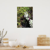 Poster Salamander Caché Sous Le Journal, Washington (Cuisine)