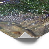 Poster Salamandre tachetée noir et jaune (Coin)