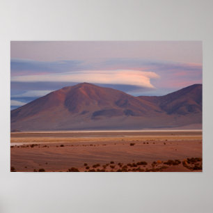 Poster Salar del Huasco, Chili