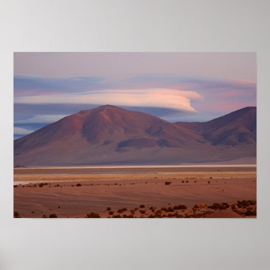 Poster Salar del Huasco, Chili (Devant)
