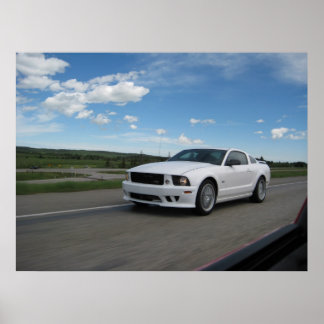 Poster Saleen Blanc Mustang