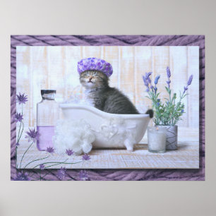 Poster Salle de bain Chat dans un bain