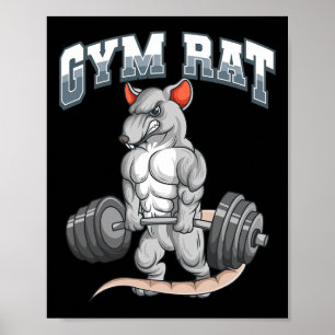 Poster Salle De Fitness Rat Fitness Bodybuilding