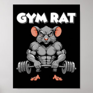 Poster Salle De Sport Rat Fitness Bodybuilding Entraîneme