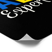 Poster Salo Expert Ukraine Ukrainien (Coin)