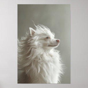 Poster Salon Animaux de compagnie Boutique Spitz Portrait