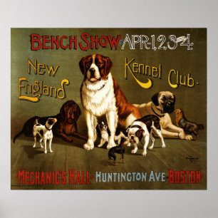 Poster Salon de banc Kennel Club en Nouvelle-Angleterre