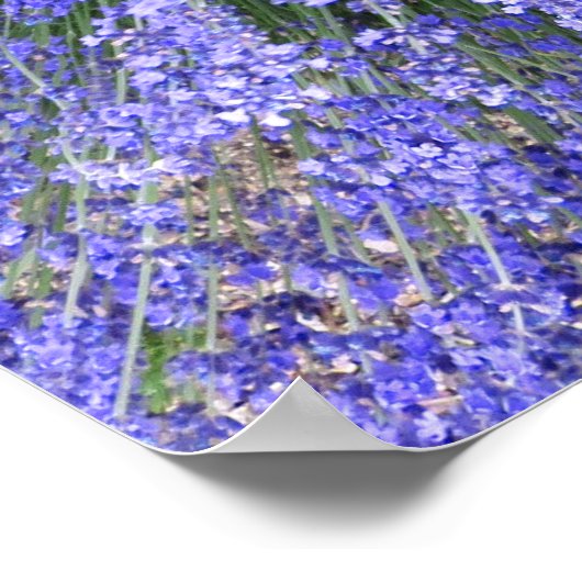 Poster Salon de mai (Coin)