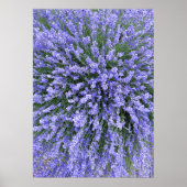 Poster Salon de mai (Devant)