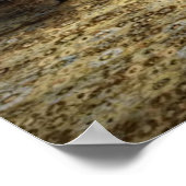 Poster Salon Meublé Victorien (Coin)