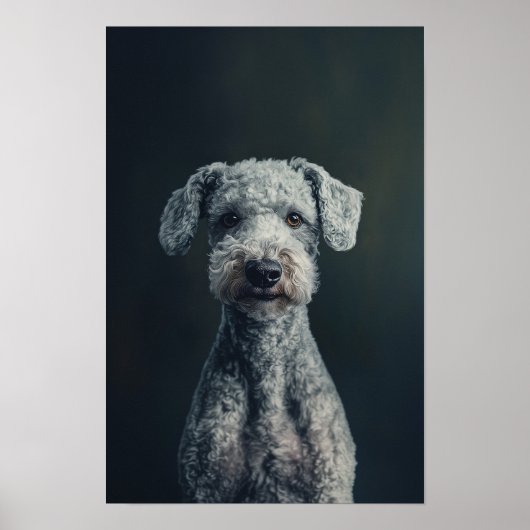 Poster Salon pour animaux de compagnie Bedlington Terrier (Devant)