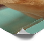 Poster Salon pour animaux de compagnie Boutique Labrador  (Coin)