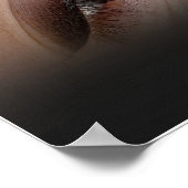 Poster Salon Spa Brows Lips Venir Revigorer (Coin)