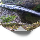 Poster Salt Creek Falls (Coin)